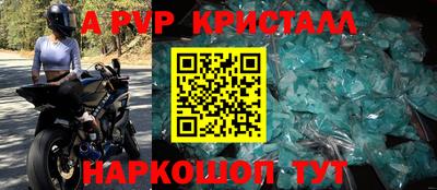дживик Кингисепп