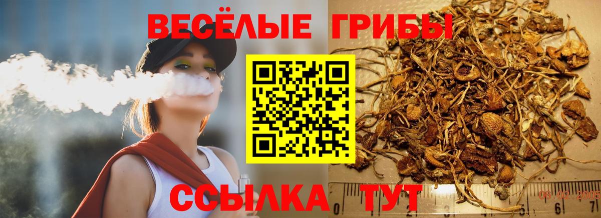 Галлюциногенные грибы мухоморы  Галлюциногенные грибы Magic Shrooms  Вход с VPN  Химки 