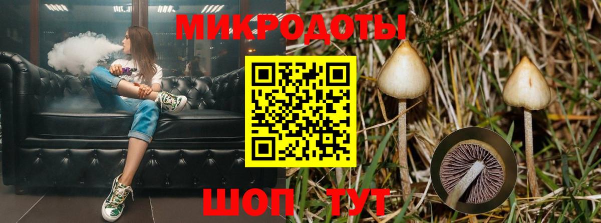 Псилоцибиновые грибы мицелий Химки