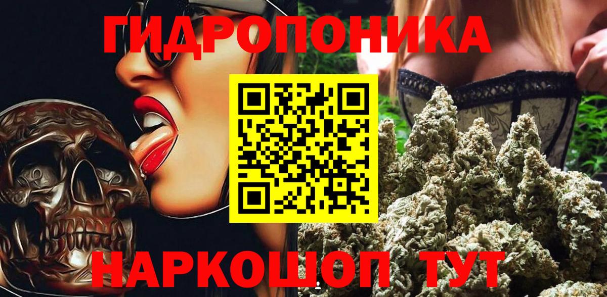 Бошки Шишки гибрид Химки